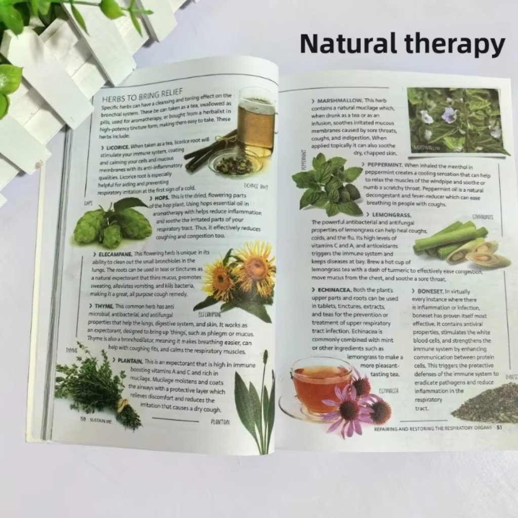 ดูแลรักษาสุขภาพของฉัน บาร์บารา - Health Wellness Lifestyle บทวิจารณ์และราคา