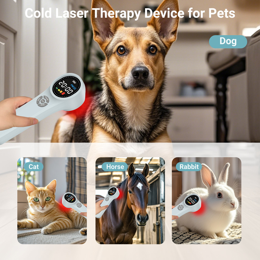 อุปกรณ์บำบัดด้วยแสงสีแดงเพื่อบ - Red Light Therapy Device บทวิจารณ์และราคา